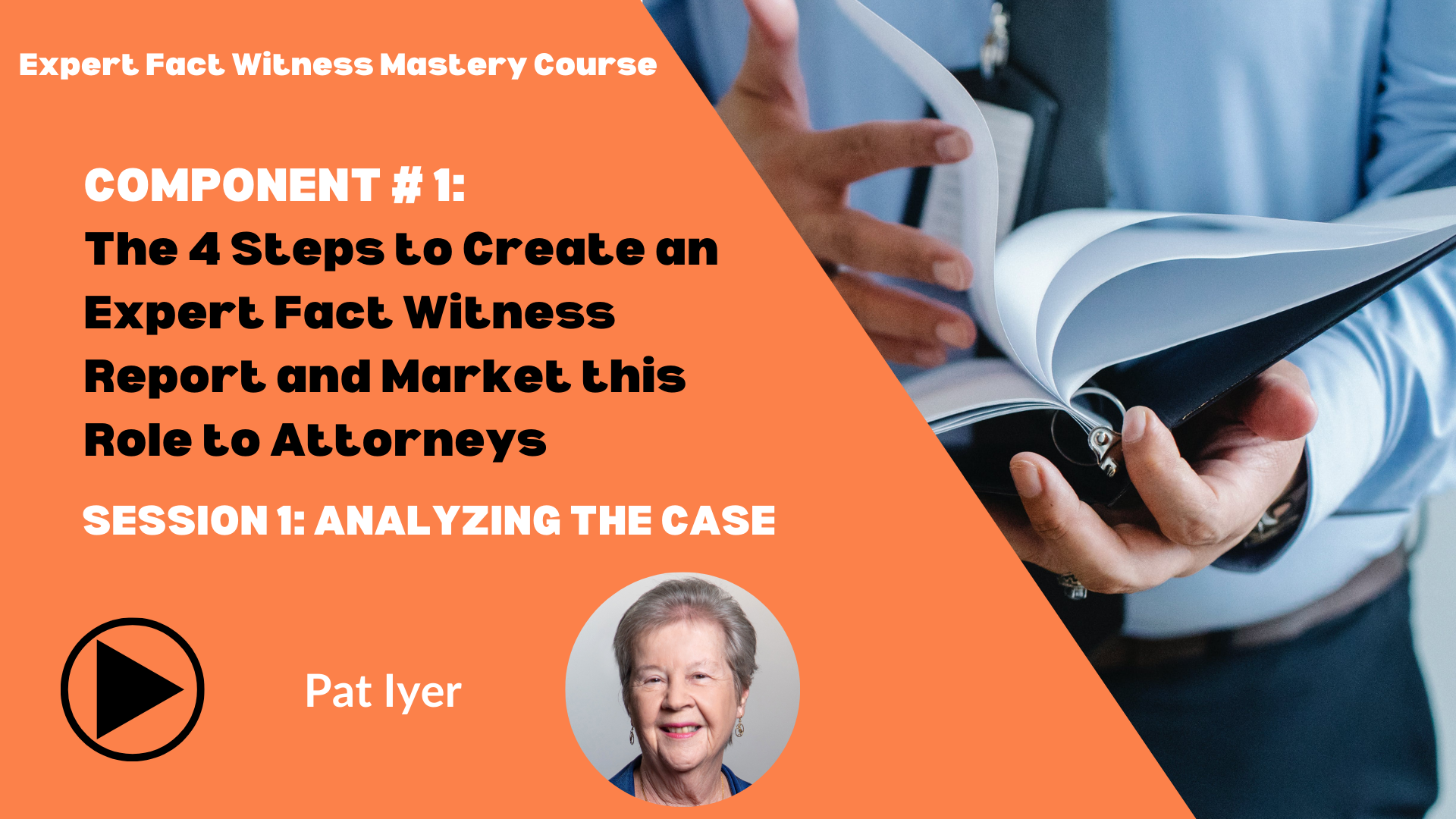 Pat Iyer - C1 Expert Fact Witness Mastery - Analyzing the Case