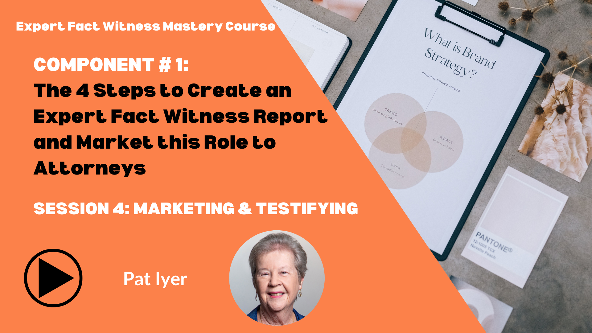 Pat Iyer - C1 Expert Fact Witness Mastery Marketing & Testifying