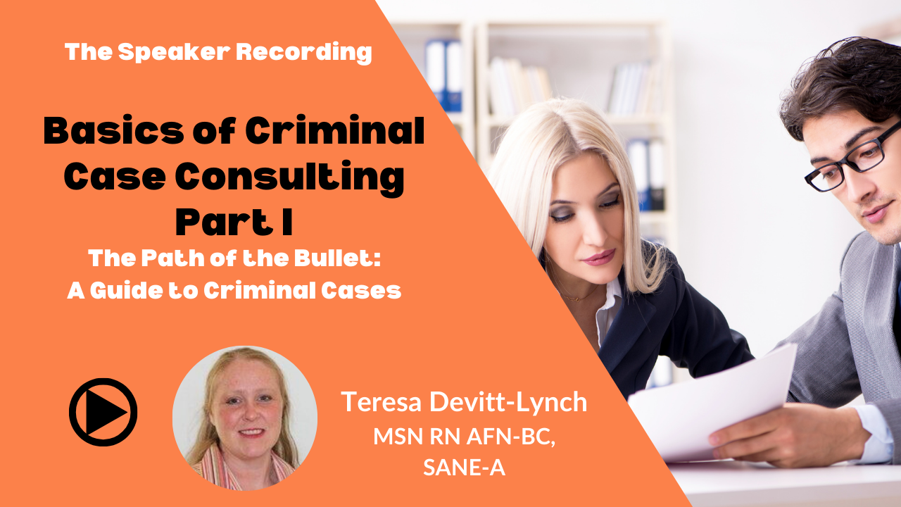 Basics of Criminal Case Consulting Part I-Teresa Devitt-Lynch