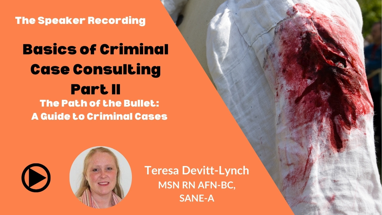 Basics of Criminal Case Consulting Part II - Teresa Devitt-Lynch