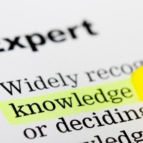 definition of expert witness